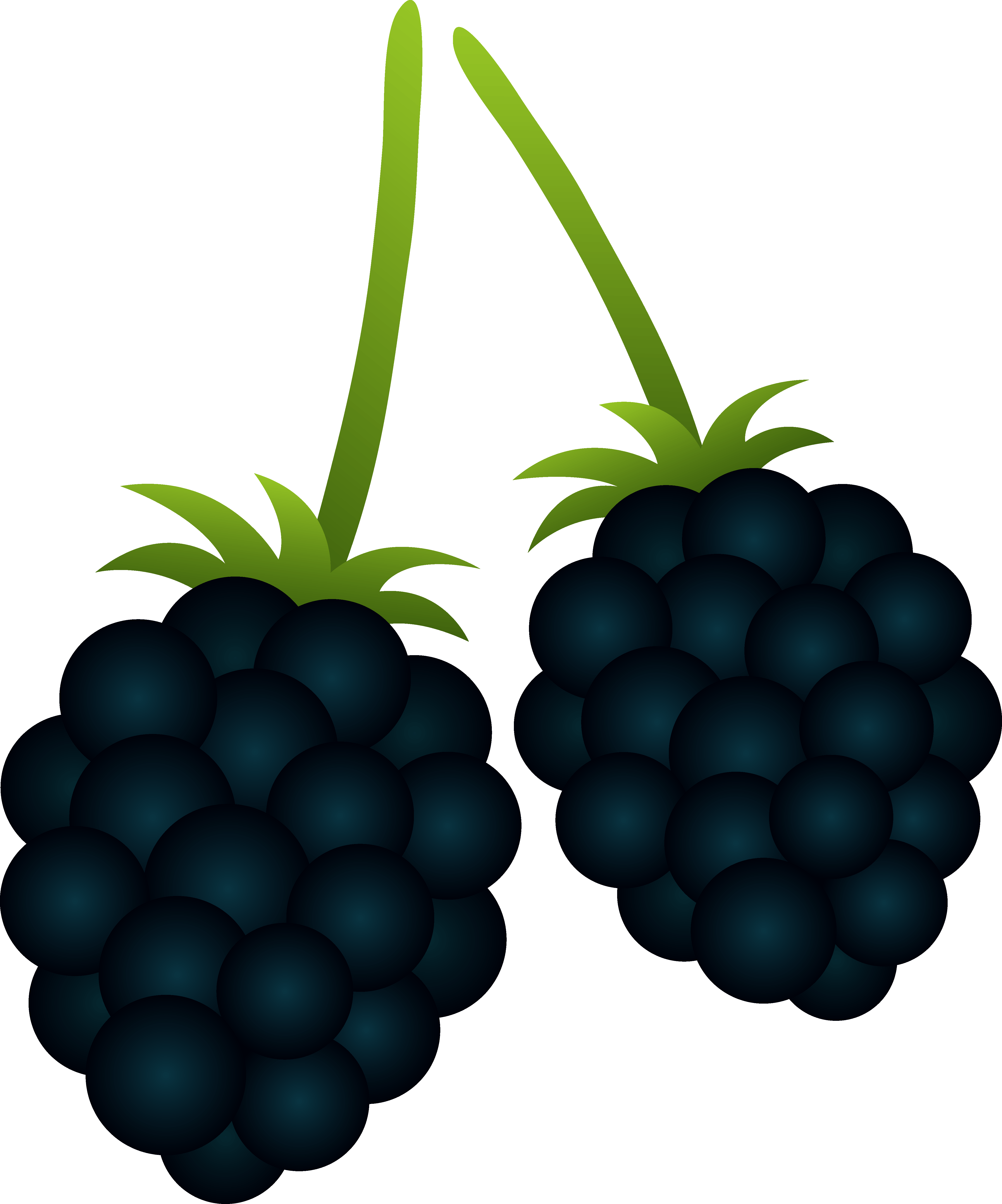 Blackberry Cliparts - Blackberry Clipart, HD Png Download PNG with transparent background