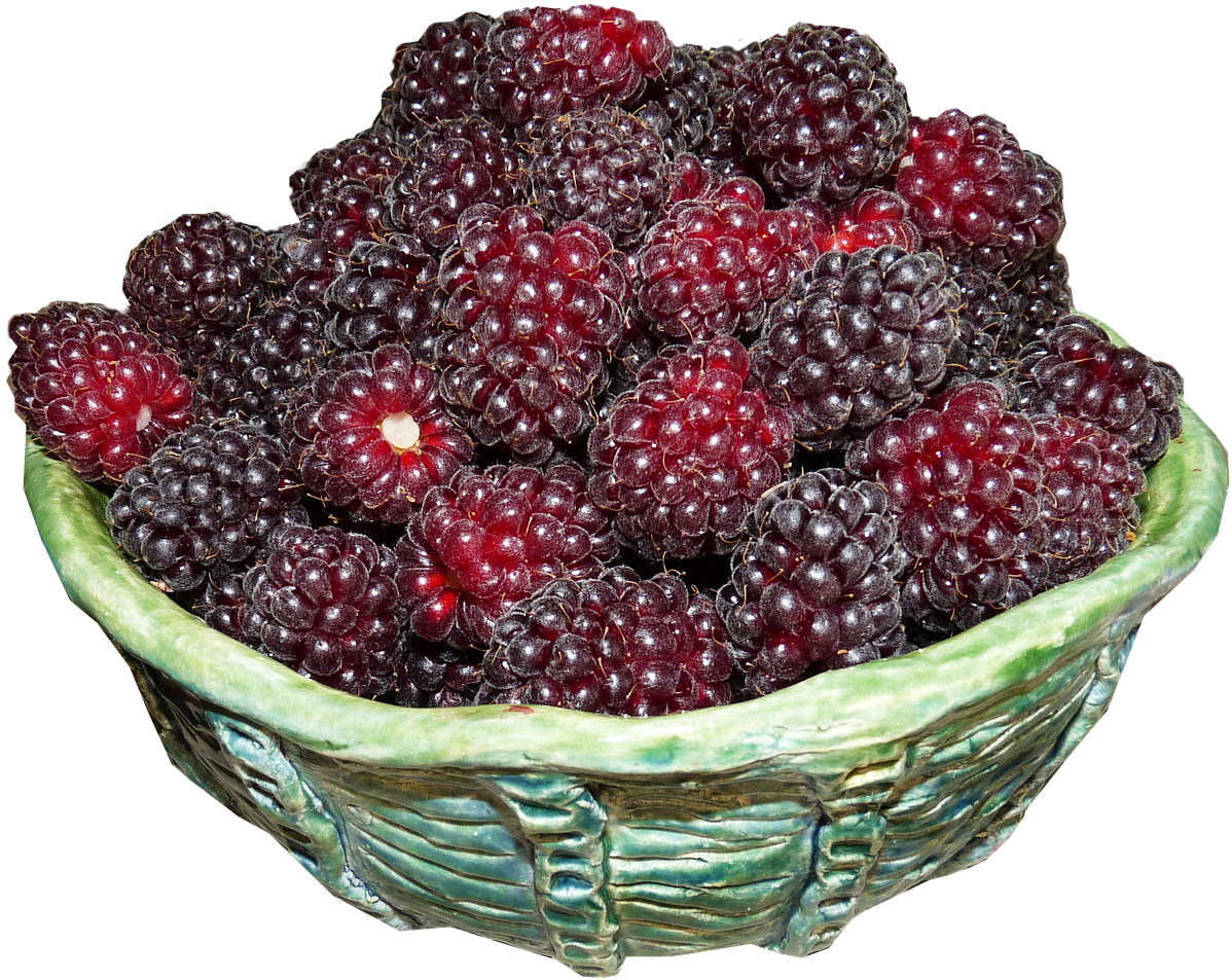 Transparent Blackberries Png - Boysenberry, Png Download PNG with transparent background