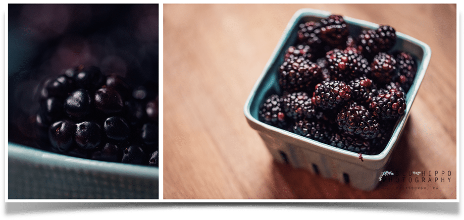 Pittsburgh Photography - Blackberry, HD Png Download PNG with transparent background