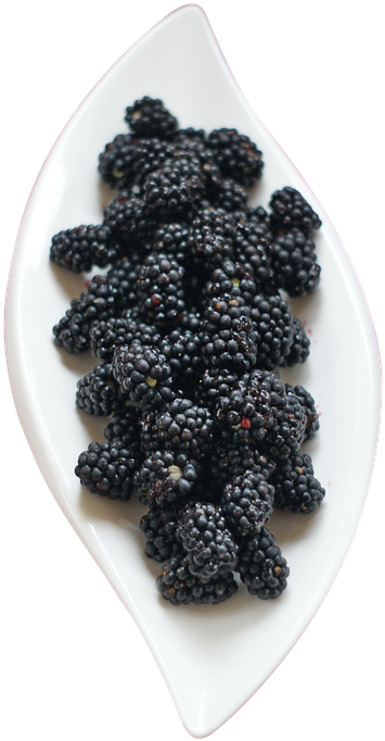 Blackberry, HD Png Download PNG with transparent background