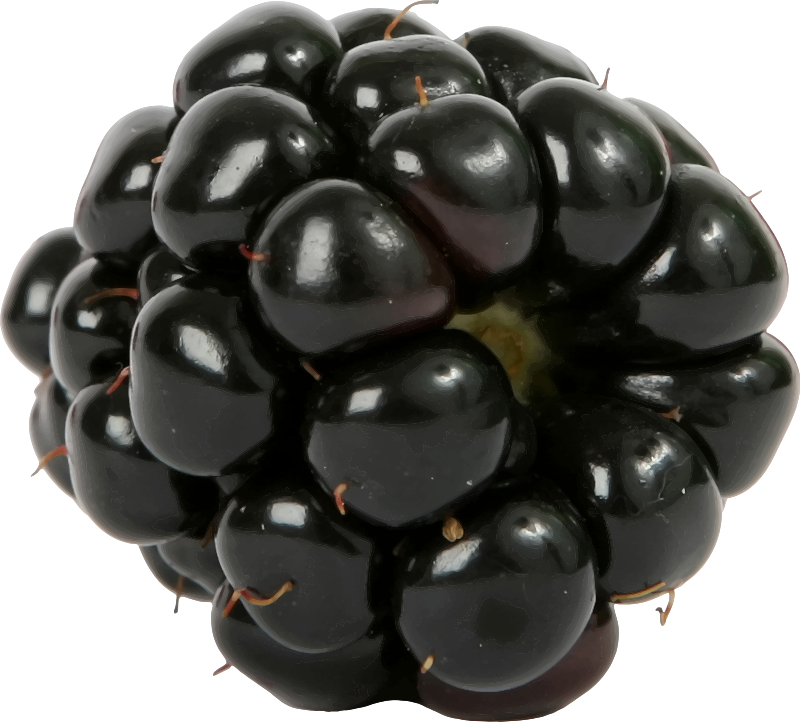 Blackberry Png Image - Blackberry Transparent, Png Download PNG with transparent background