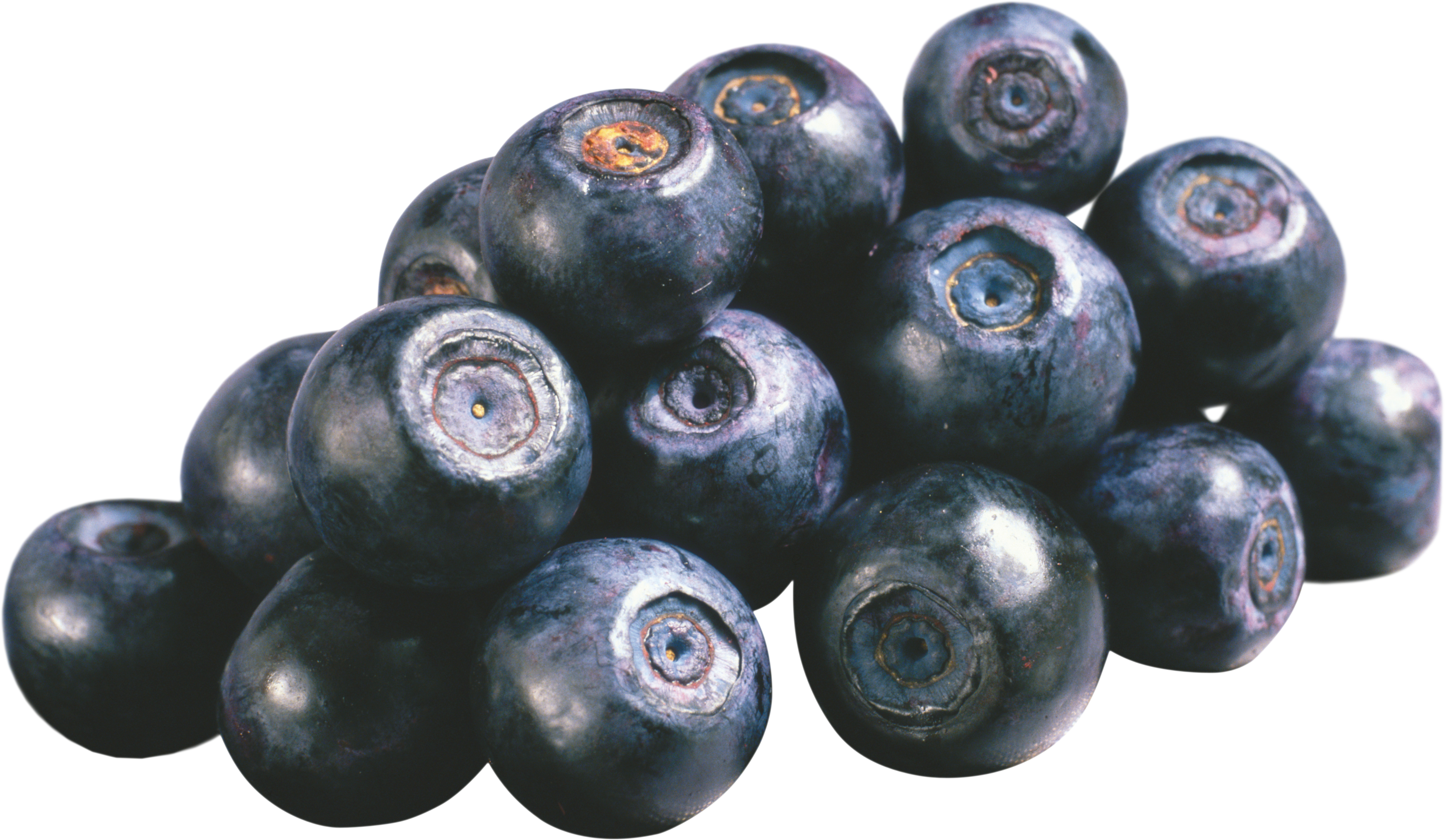 Fresh Blueberries Cluster.png