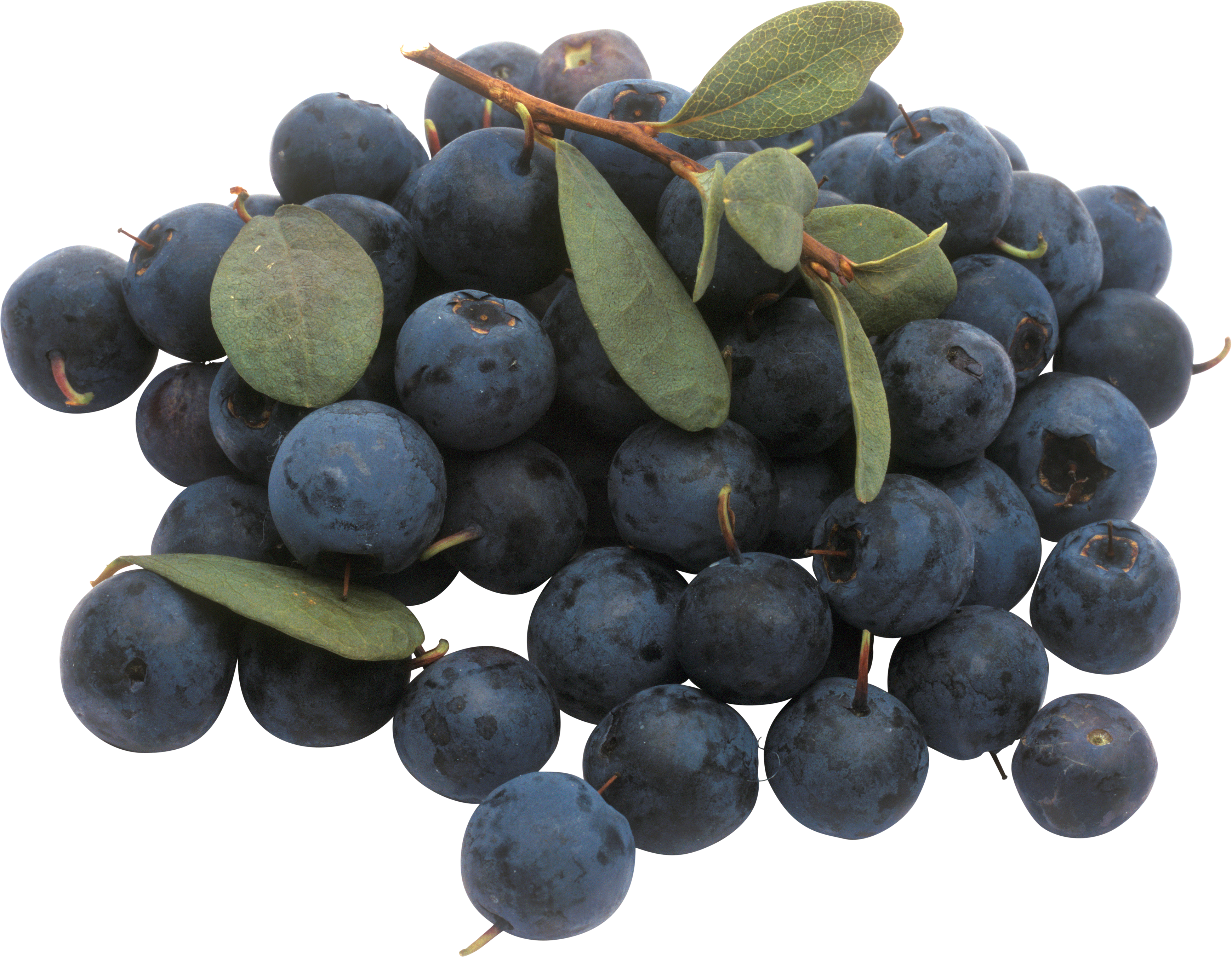 Bunch Of Blueberries, HD Png Download PNG with transparent background