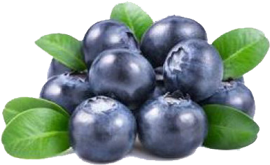 Blueberry Png Background Images - Blue Transparent Background Blueberry Png, Png Download PNG with transparent background