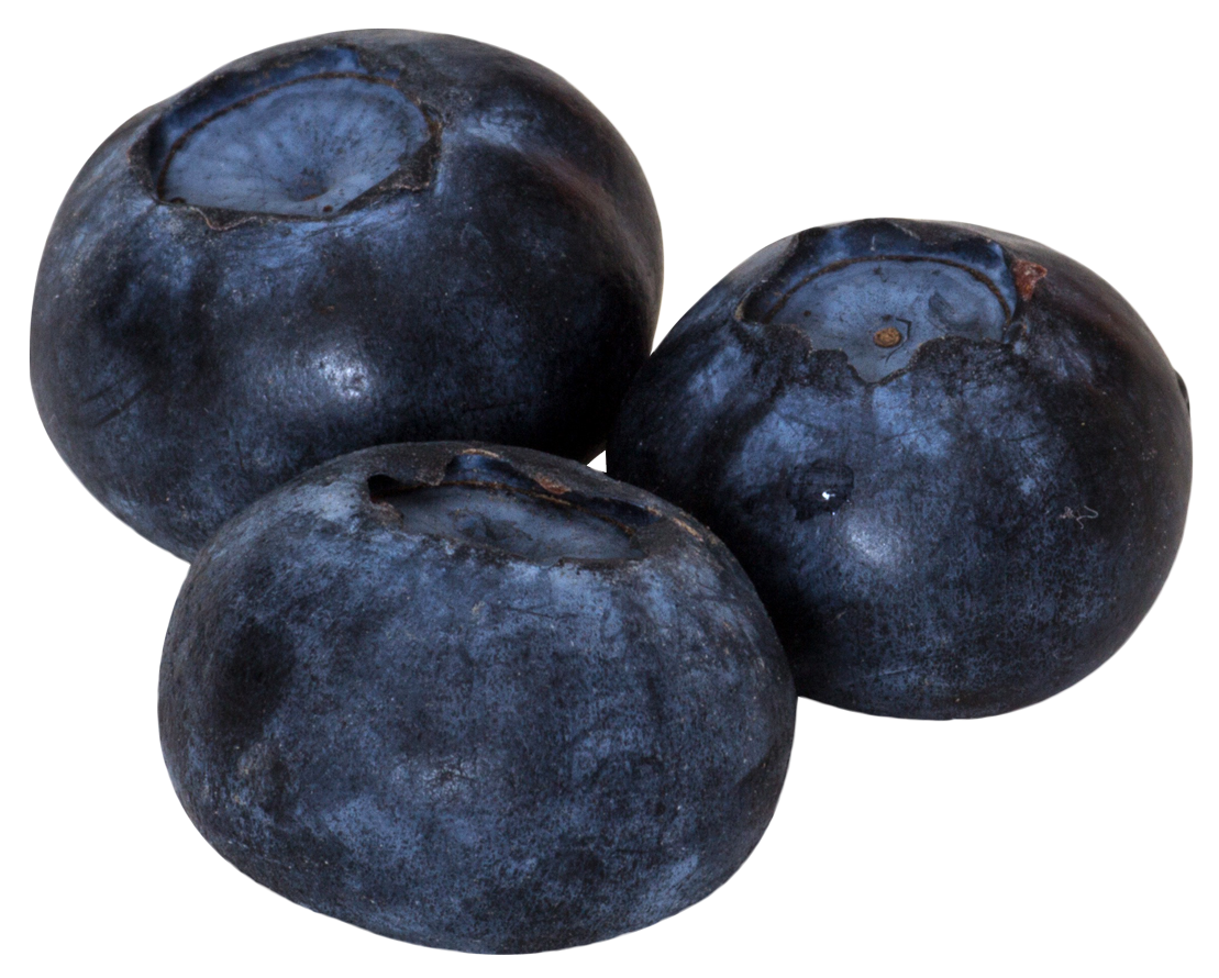 Fresh Blueberries Isolated PNG with transparent background