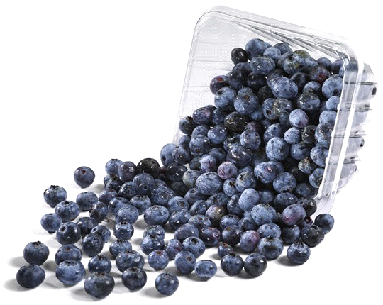 Fresh Blueberries Spilling From Container