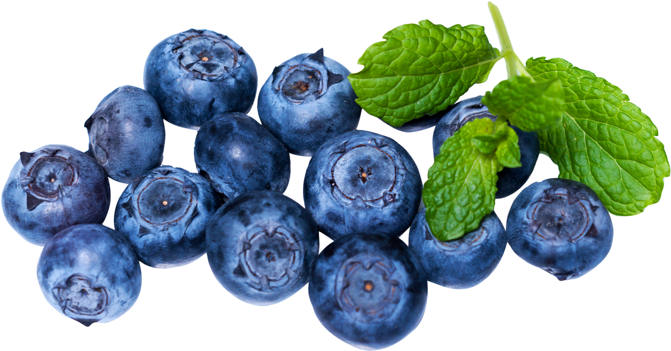 Fresh Blueberries With Mint Leaves.png