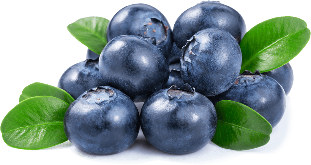 Fresh Blueberrieswith Leaves.png