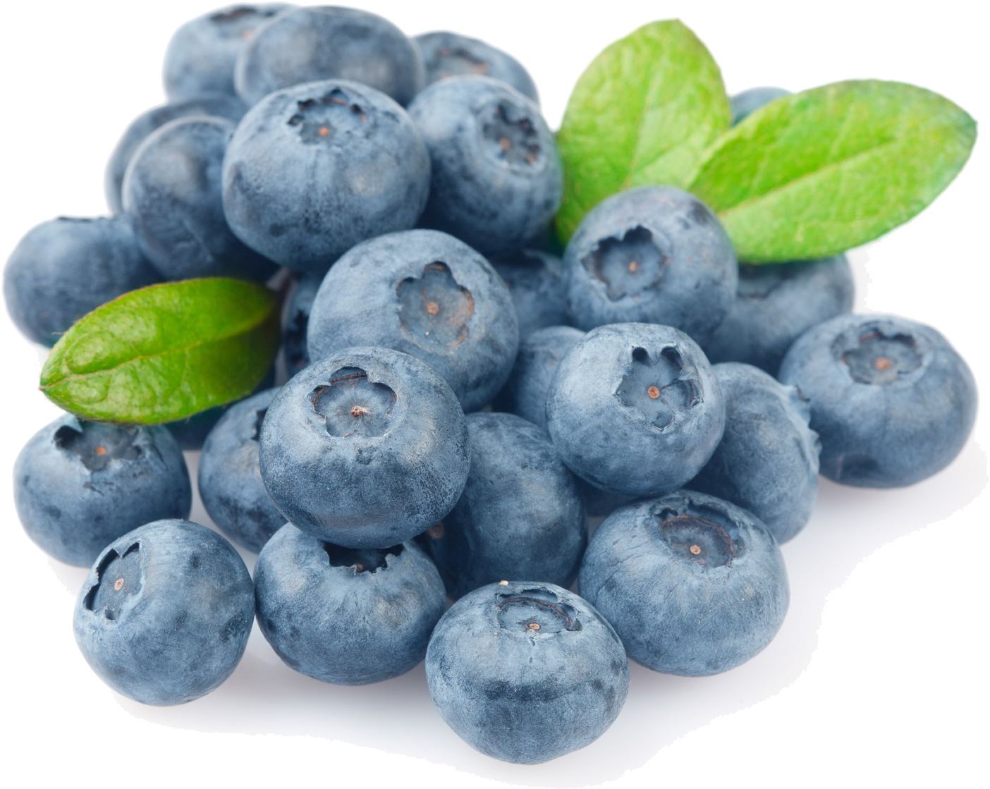 Blueberry Png Photo - Fresh Blueberries, Transparent Png PNG with transparent background