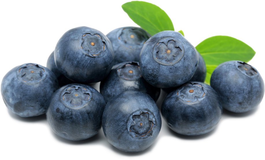 Blueberries Png Hd Image - Blueberry On Transparent, Png Download PNG with transparent background