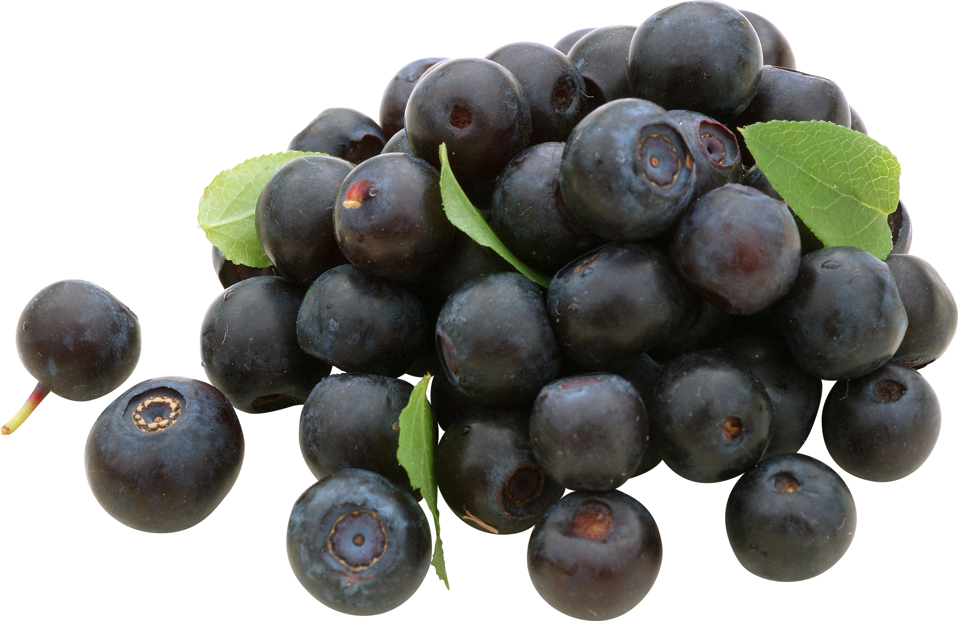 Fresh Blueberrieswith Leaves.png