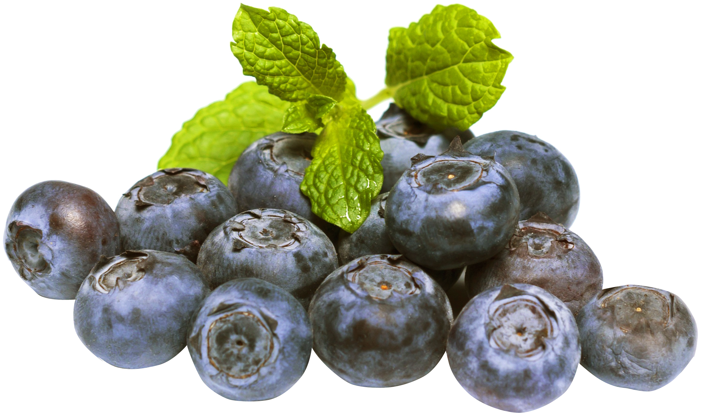 Fresh Blueberrieswith Mint Leaves