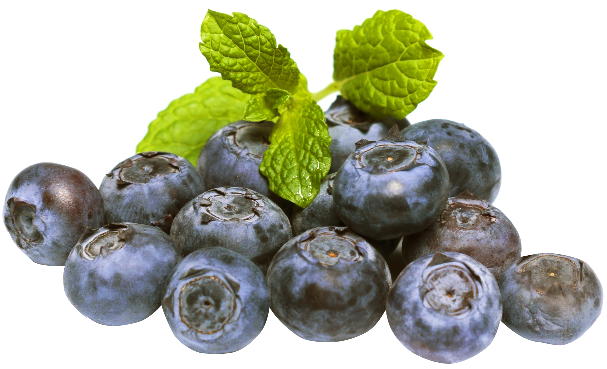 Fresh Blueberrieswith Mint Leaves PNG with transparent background