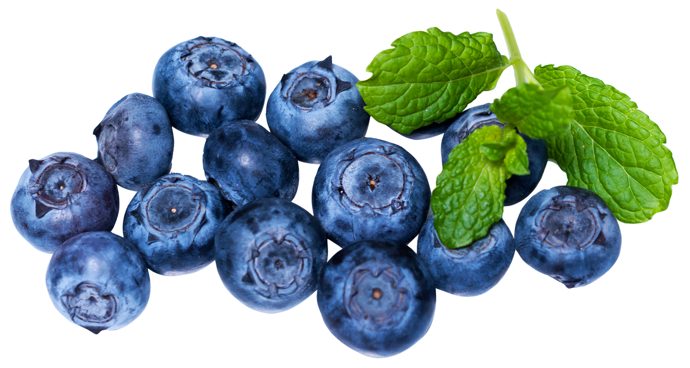 Fresh Blueberrieswith Mint Leaves PNG with transparent background