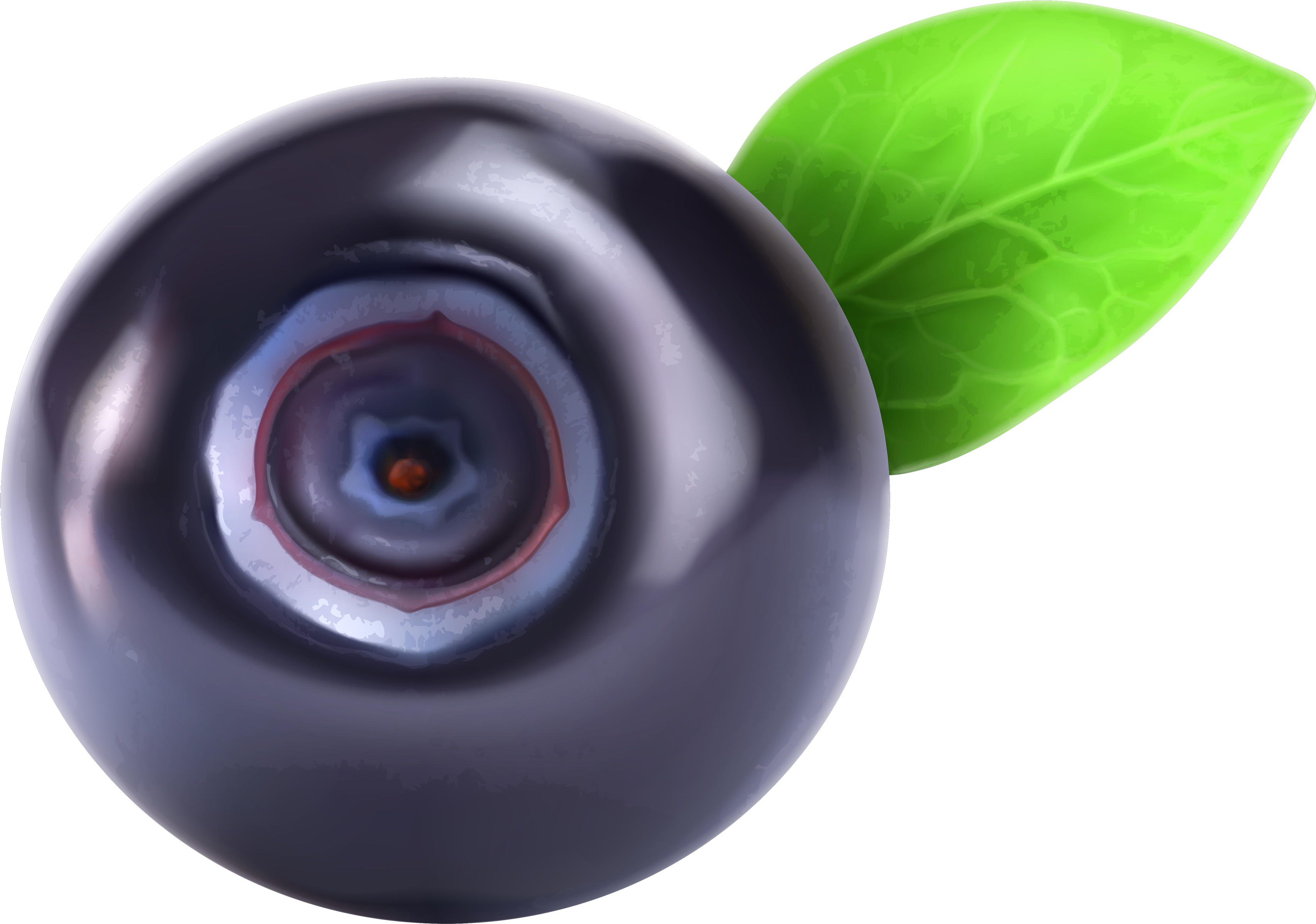 Blueberry Png Clipart - Single Blueberry In Transparent Background, Png Download PNG with transparent background