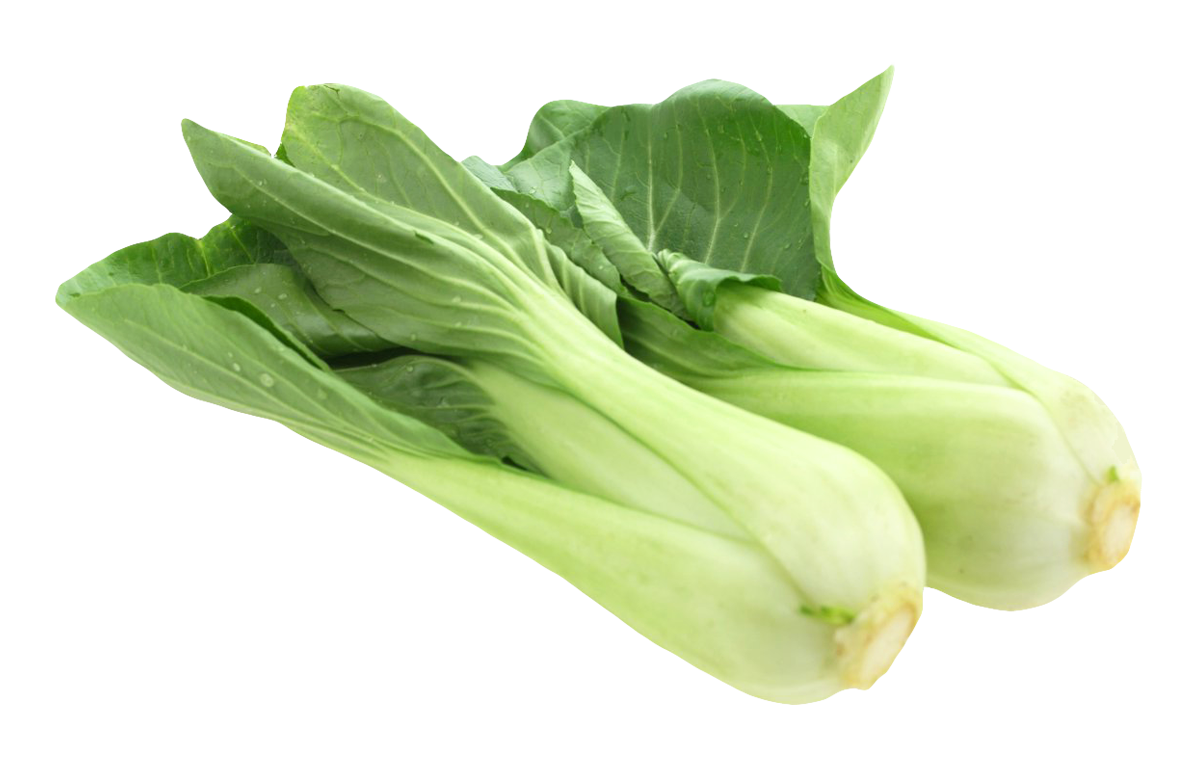 Fresh Bok Choy Vegetable