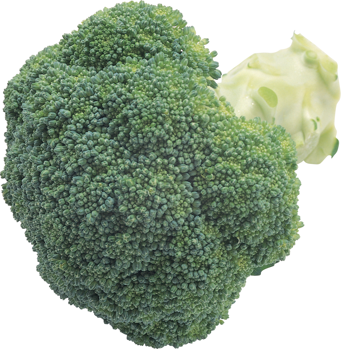 Dark Green Cauliflower, HD Png Download PNG with transparent background