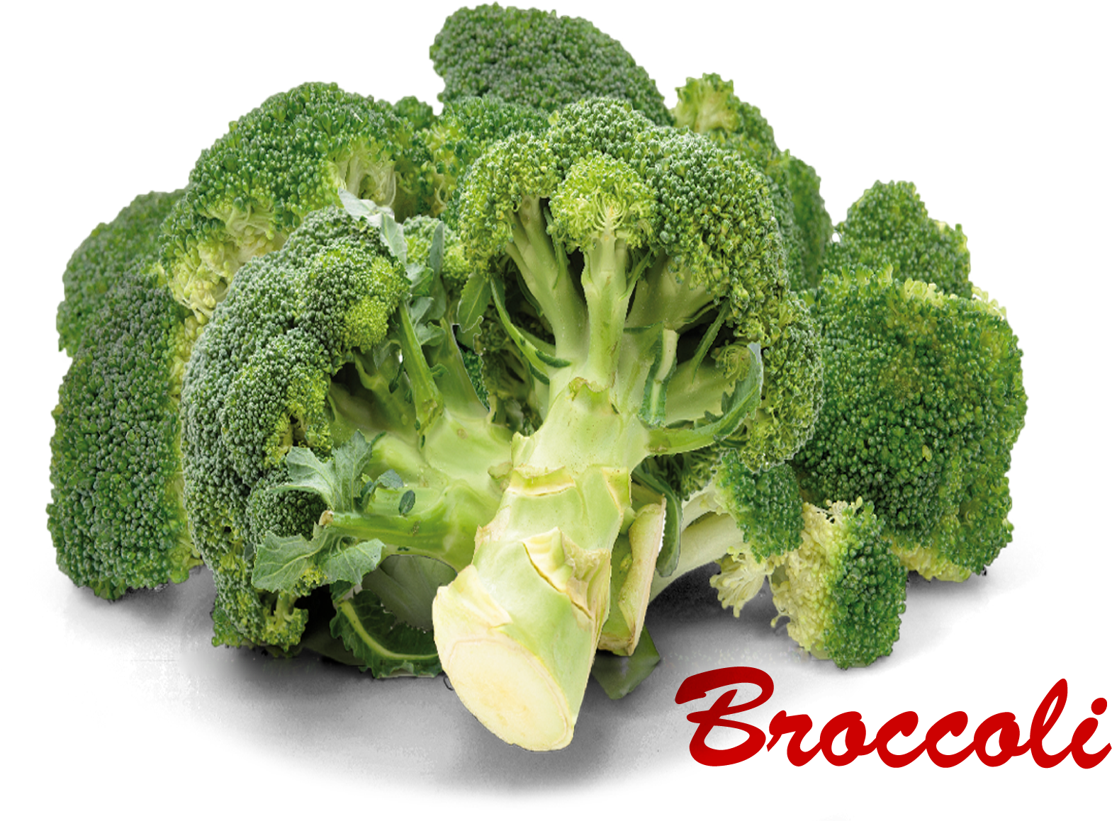 Fresh Broccoli Clusterwith Text