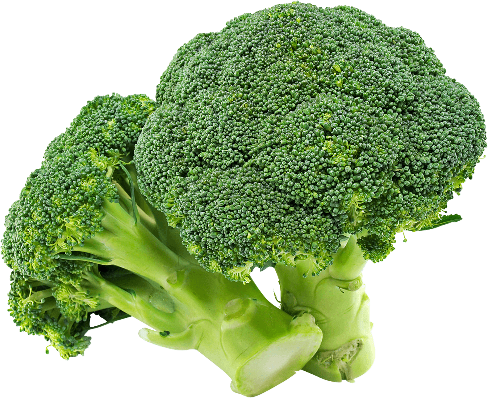 Fresh Broccoli Isolatedon Background