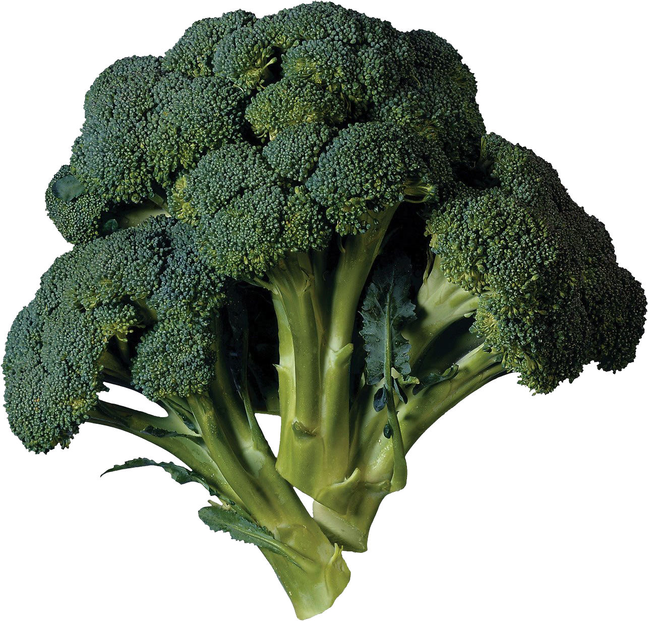 Fresh Broccoli Isolatedon Dark Background.png