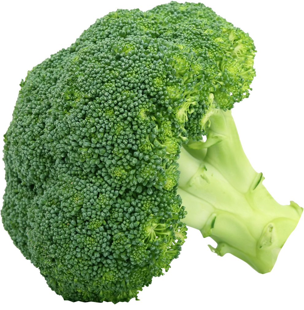 Broccoli Pictures Of Vegetables, HD Png Download PNG with transparent background