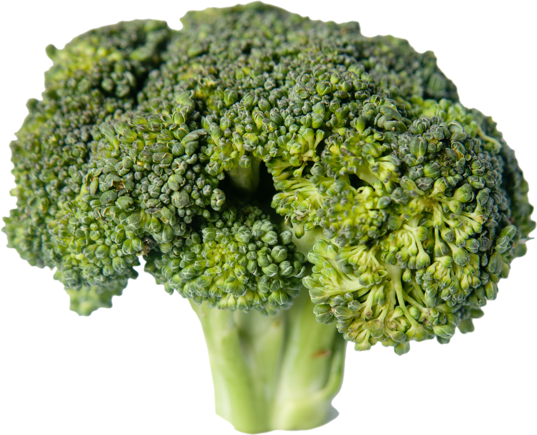 Брокколи Капуста, HD Png Download PNG with transparent background