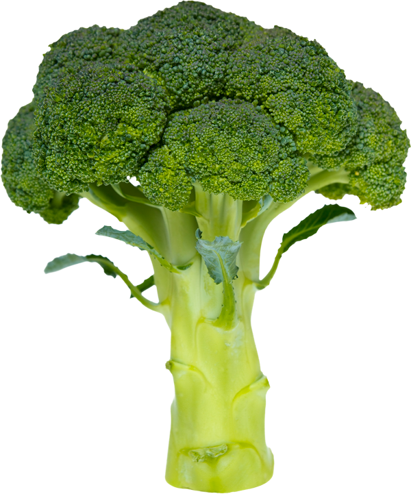 Broccoli Simple Or Complex Carbohydrate - Coke A Simple Or Complex Carbohydrate, HD Png Download PNG with transparent background