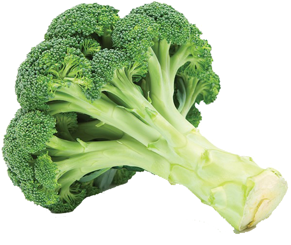 Fresh Broccoli Stalks.png