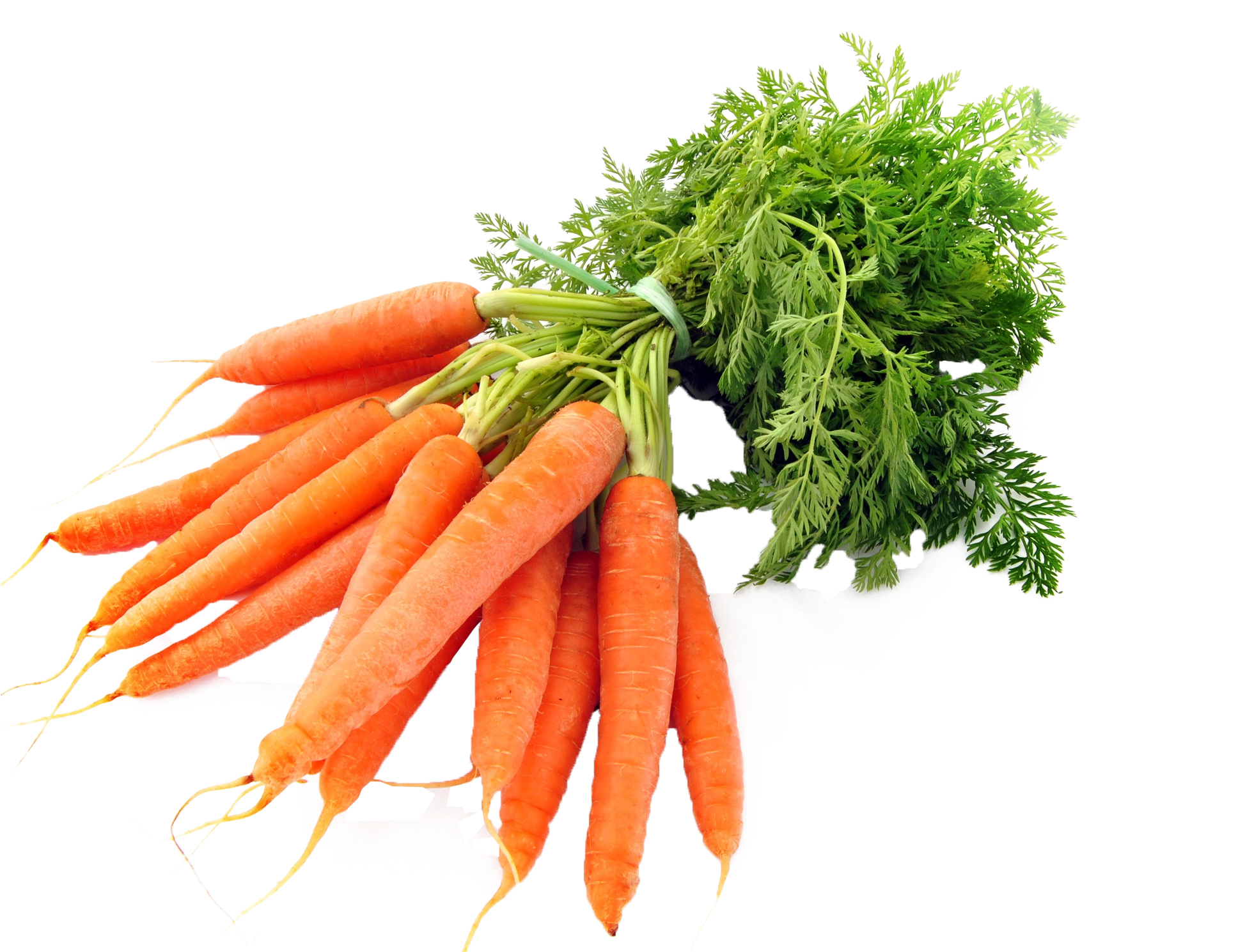 Fresh Bunchof Carrots.png PNG with transparent background