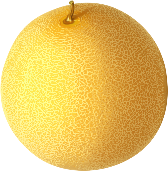 Fresh Cantaloupe Fruit Image