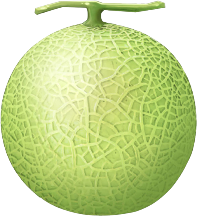 Fresh Cantaloupe Fruit Isolated