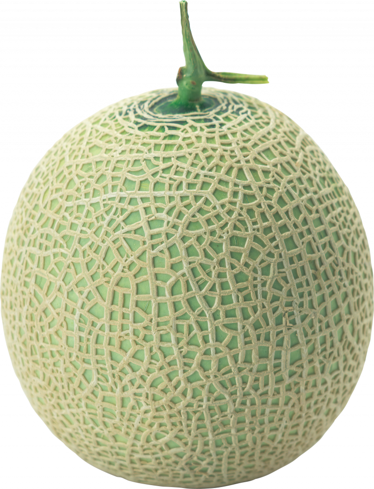 Fresh Cantaloupe Isolatedon Blue Background.png