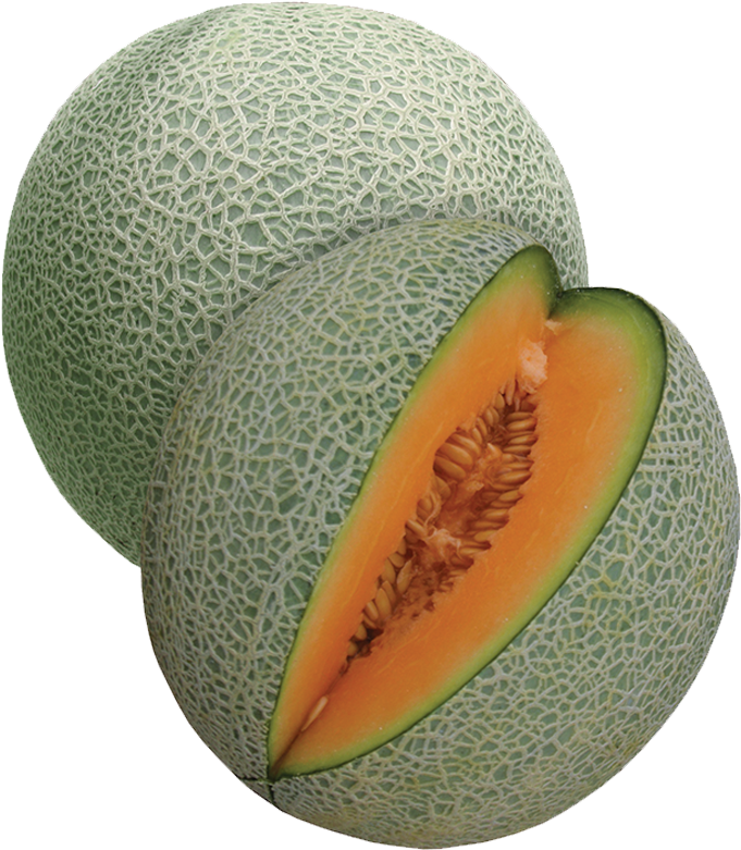 Fresh Cantaloupe Slicedand Whole