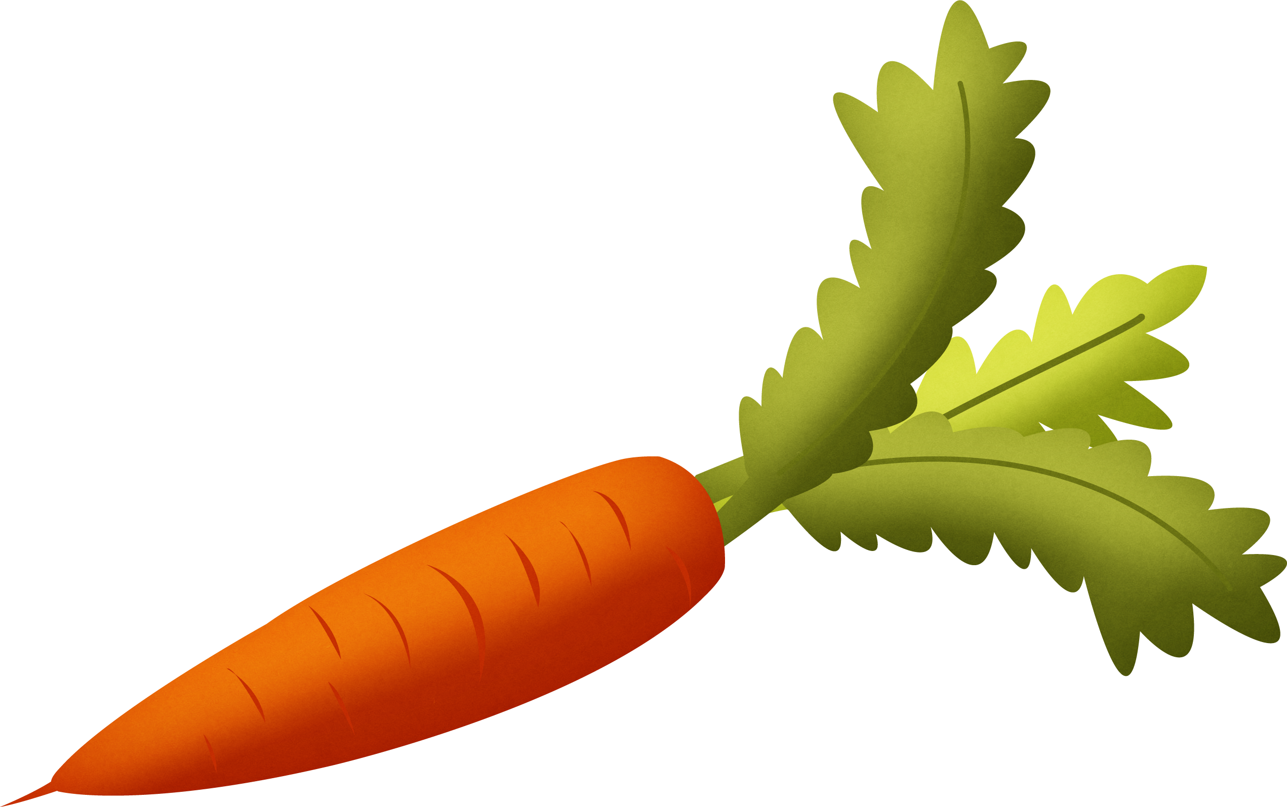 Fresh Carrot Illustration.png PNG with transparent background