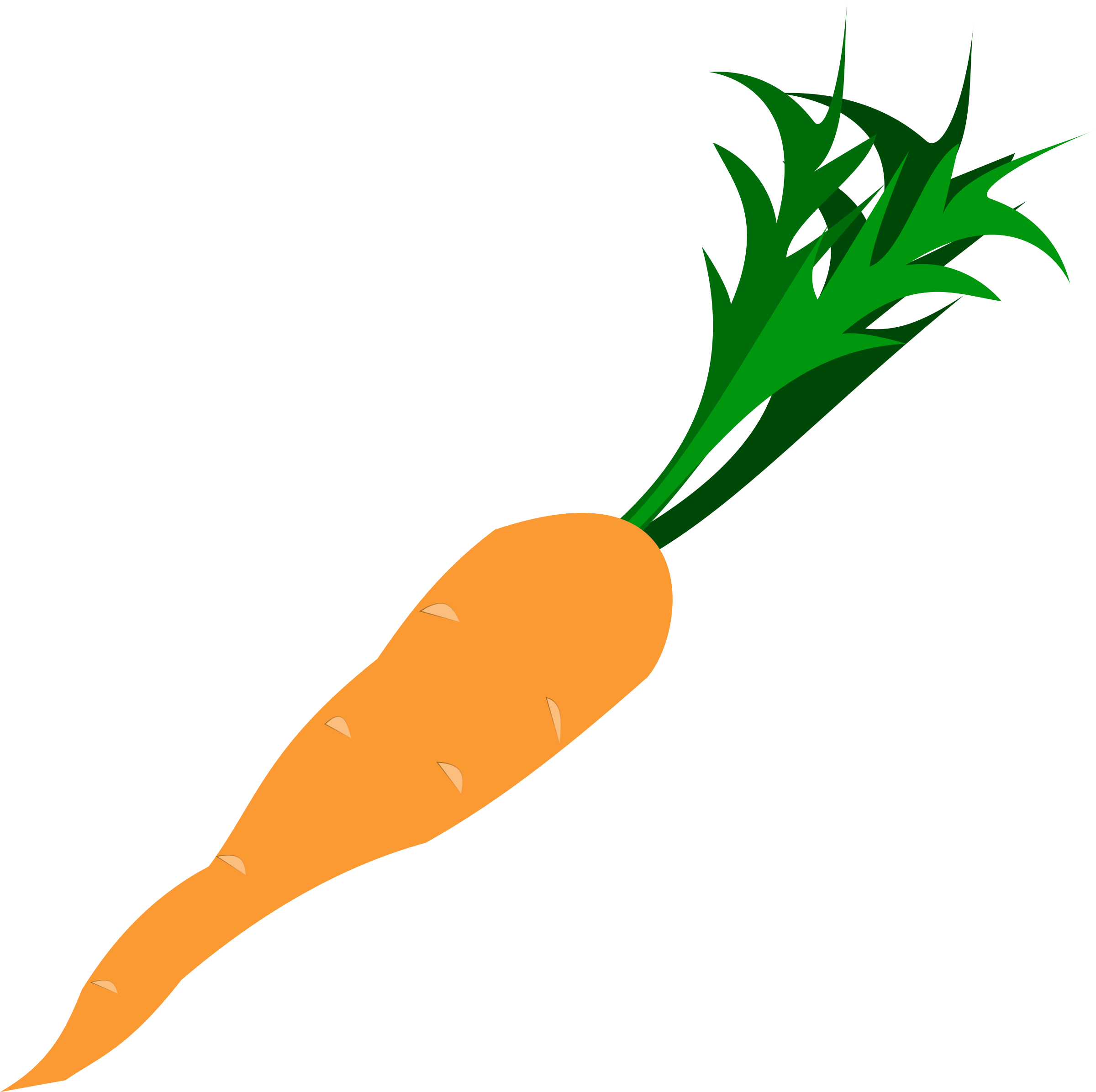 Fresh Carrot Illustration.png PNG with transparent background