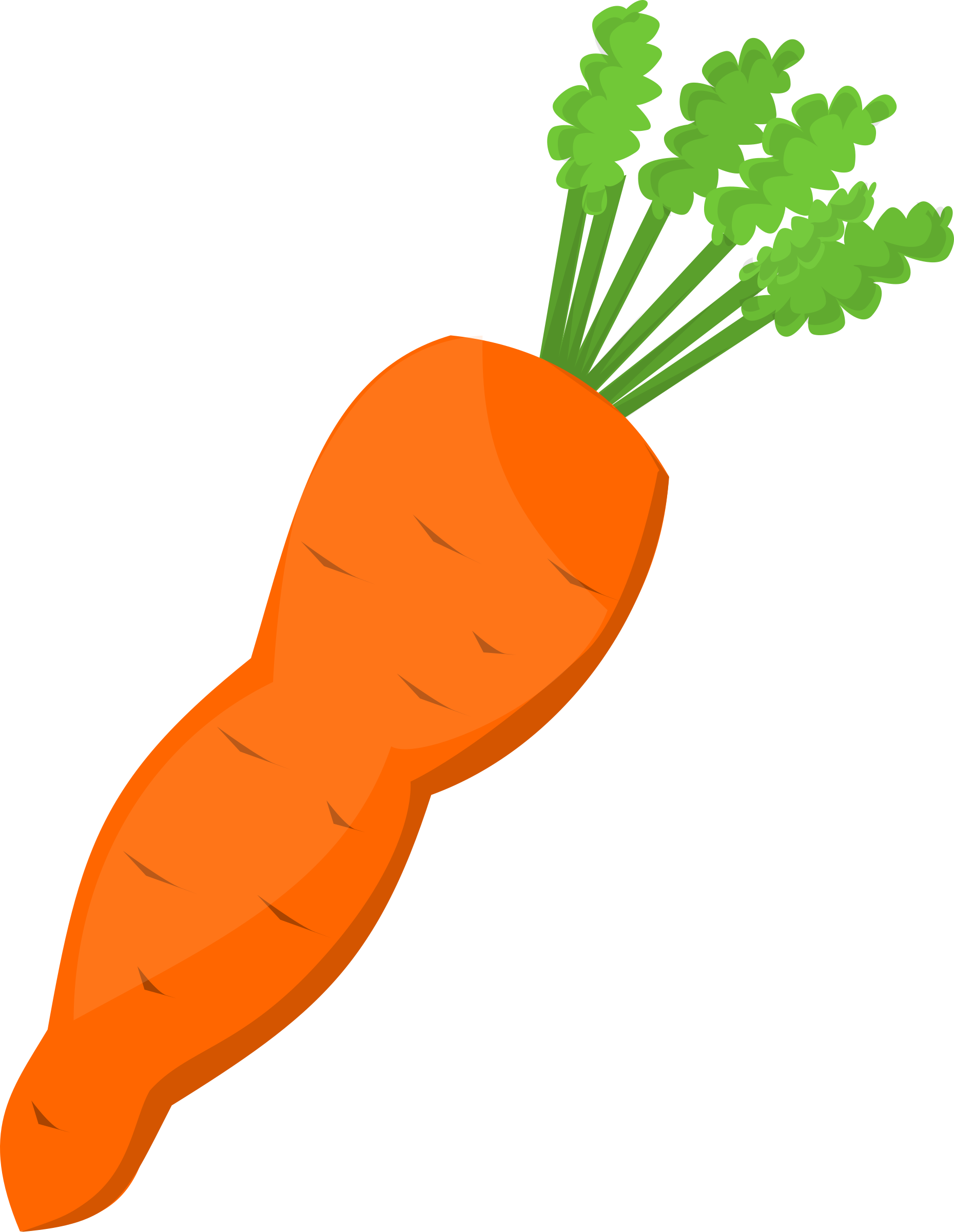 Fresh Carrot Illustration.png PNG with transparent background