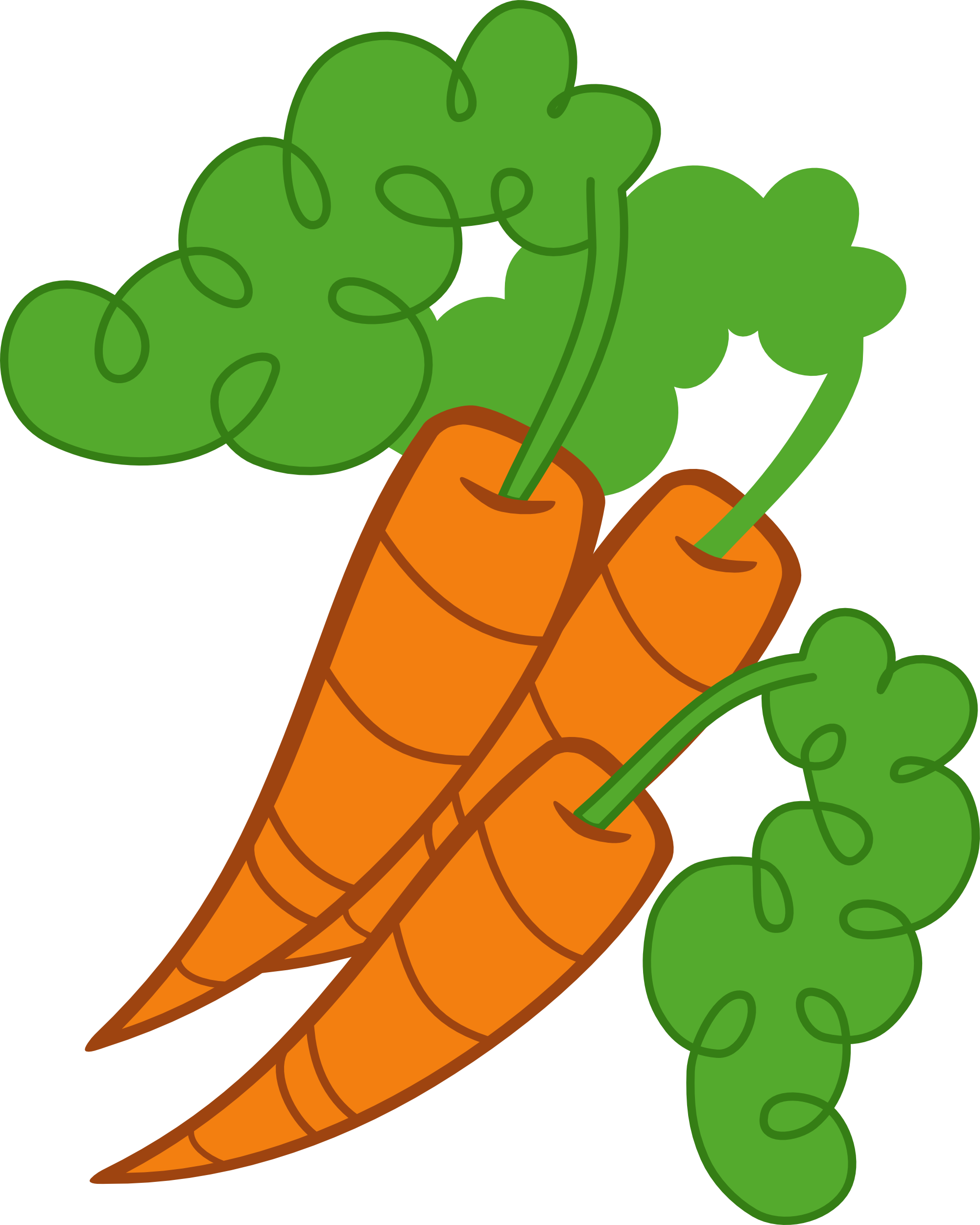 Fresh Carrot Illustration.png PNG with transparent background