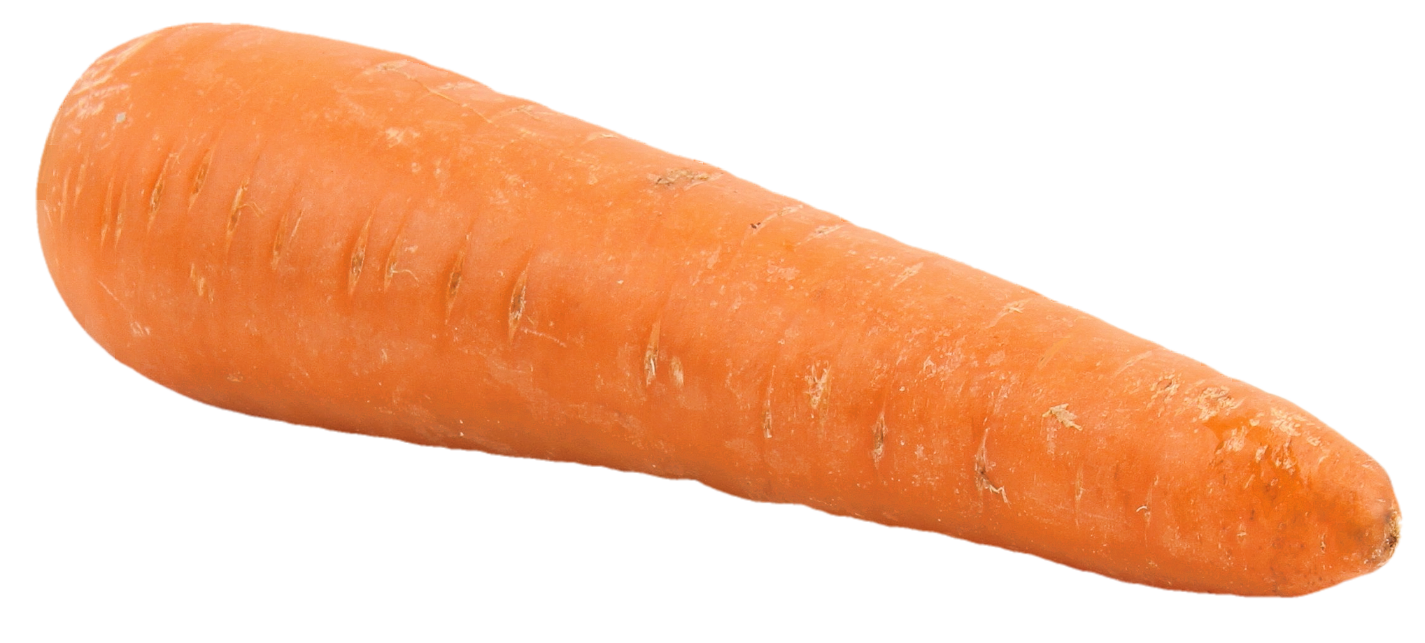 Fresh Carrot Isolated.png