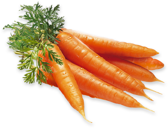 Fresh Carrots Bunch.png PNG with transparent background