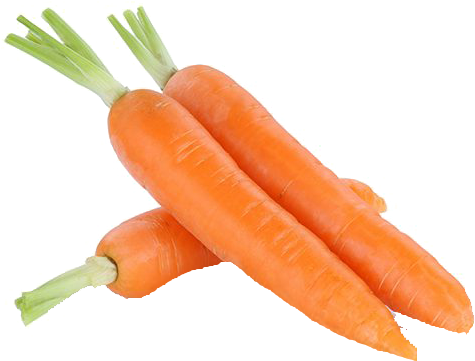 Fresh Carrots Isolated.png PNG with transparent background