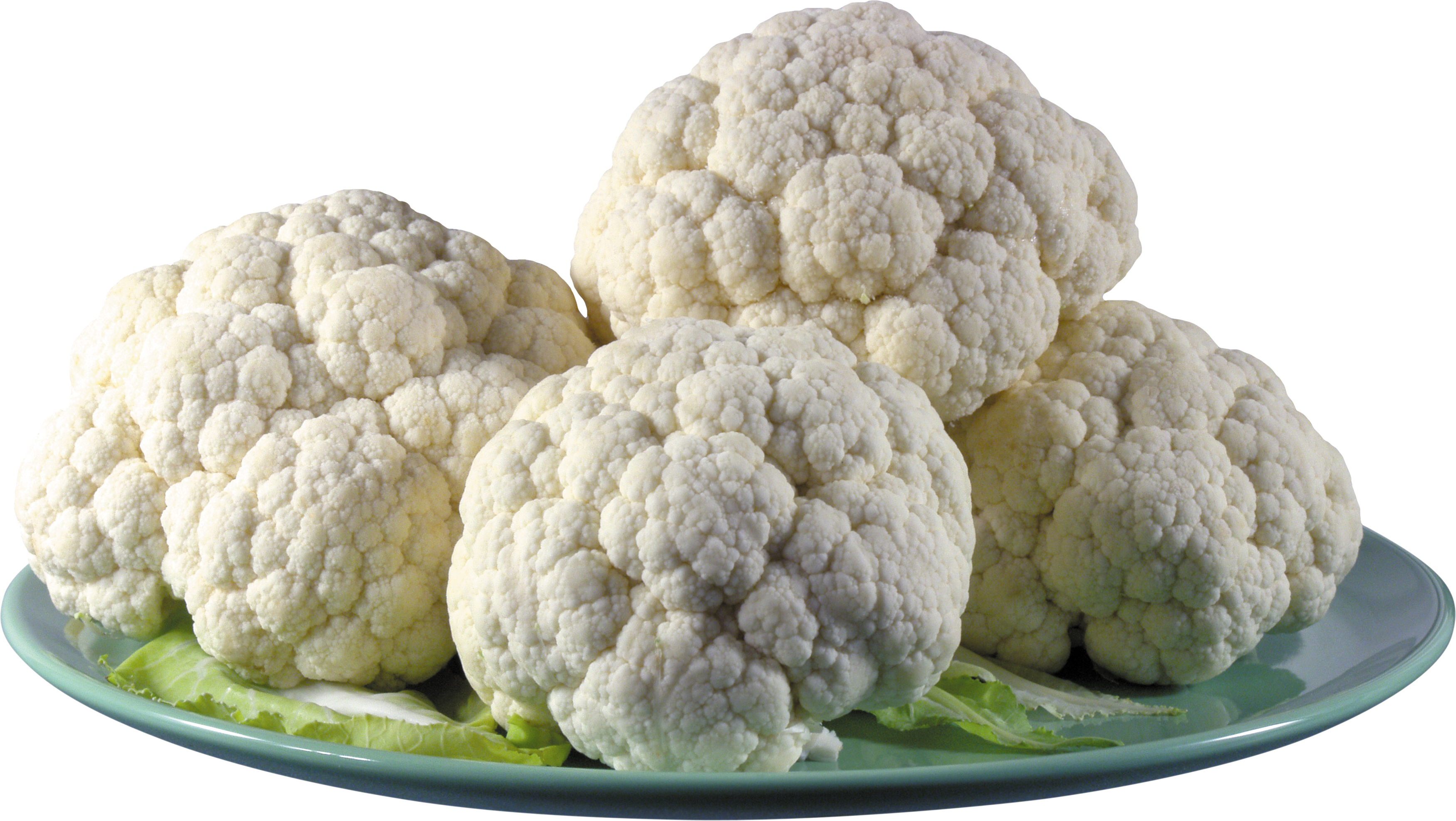 Fresh Cauliflower Headson Plate