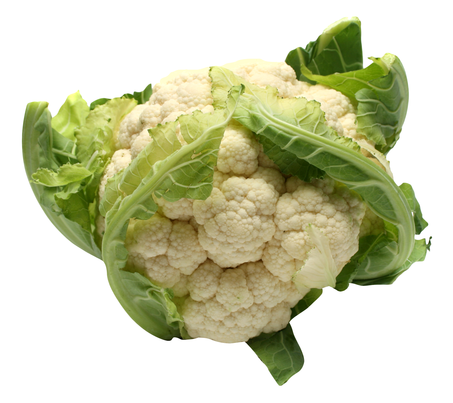 Fresh Cauliflower Isolated.png