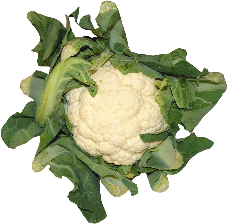 Fresh Cauliflowerwith Green Leaves