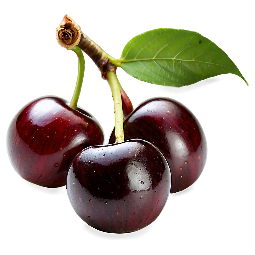 Fresh Cherry PNG 72 PNG with transparent background