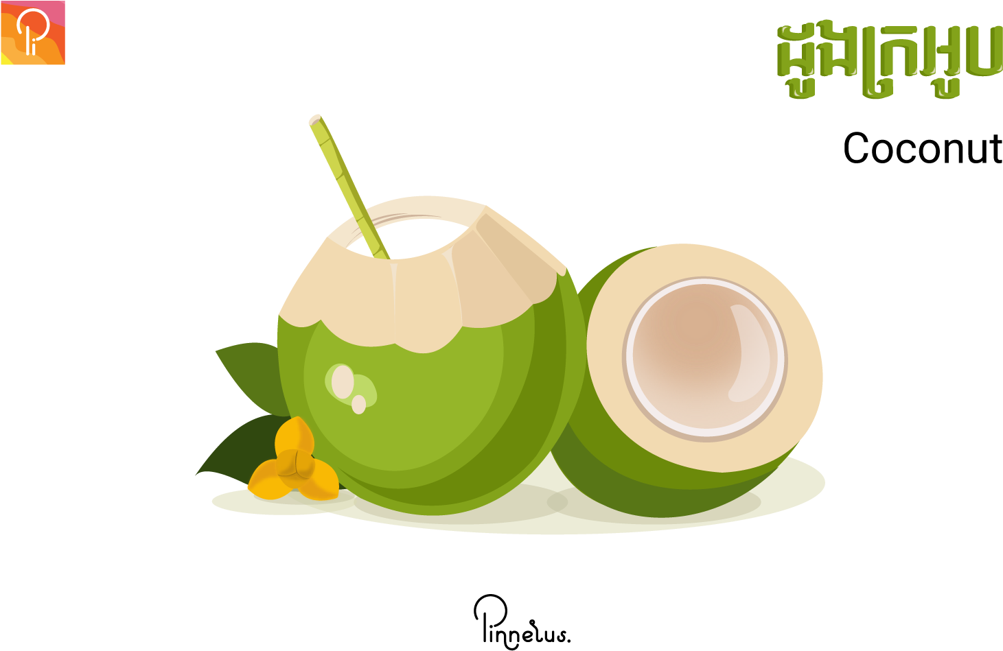 Fresh Coconut Drink Vector Illustration