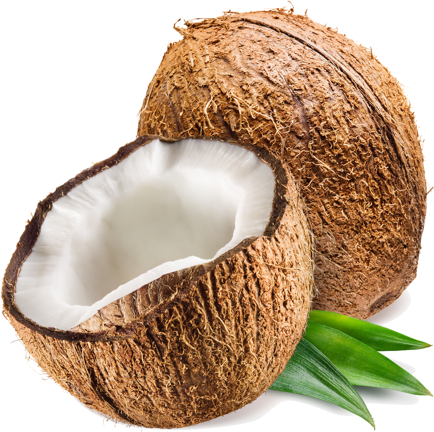 Fresh Coconut Half Transparent Background