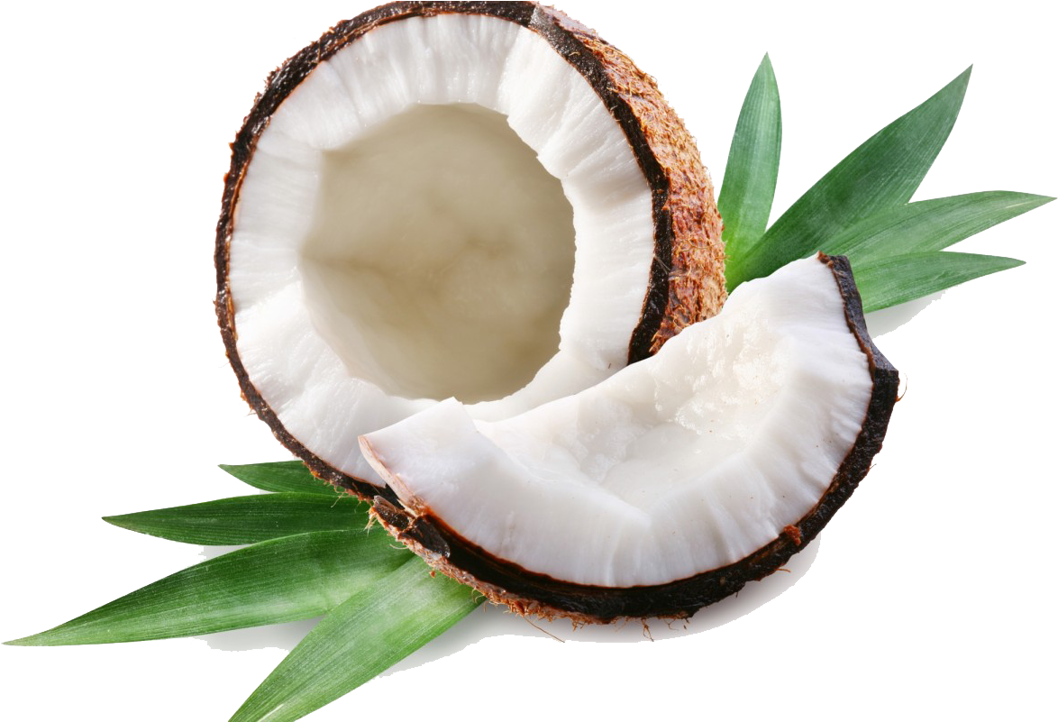 Coconut Free Download Png - Coconut Transparent, Png Download PNG with transparent background
