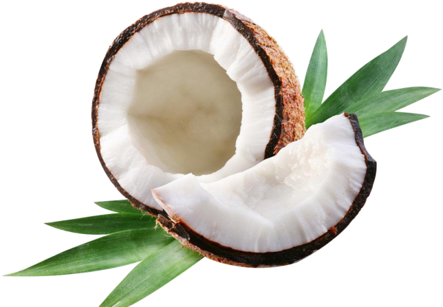 Coconut Water Coconut Milk Coconut Oil Axe7axed Na - Transparent Png Coconut Png, Png Download PNG with transparent background