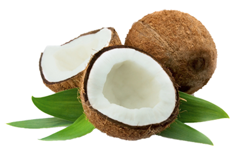 Coconut Thenarasu - Coconut Indian, HD Png Download PNG with transparent background