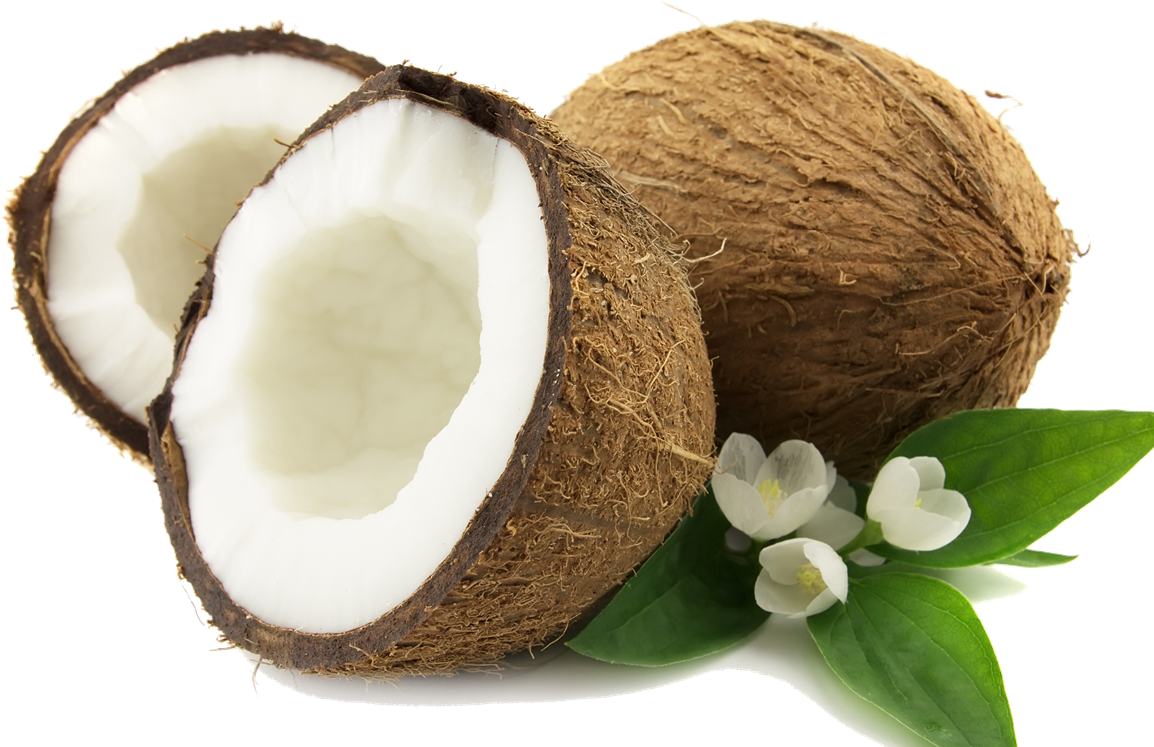 Download Coconut Png - Coconut Png, Transparent Png PNG with transparent background